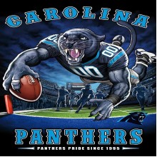 TS011 Carolina Panthers